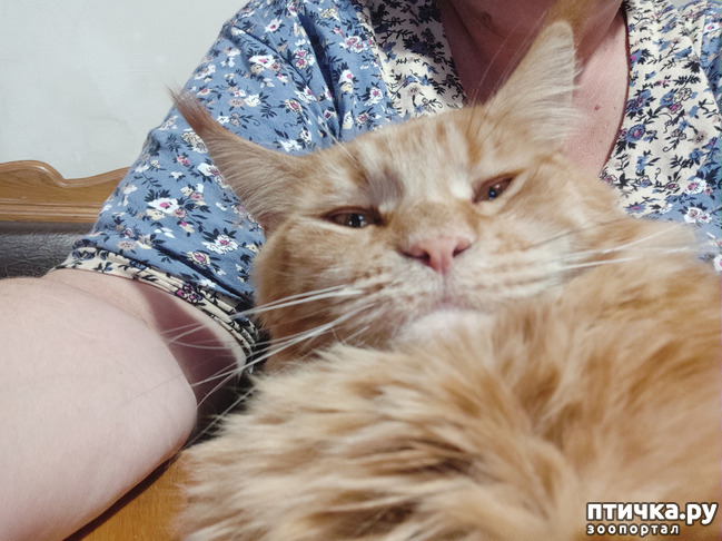 ���� 8: ������� ����)))