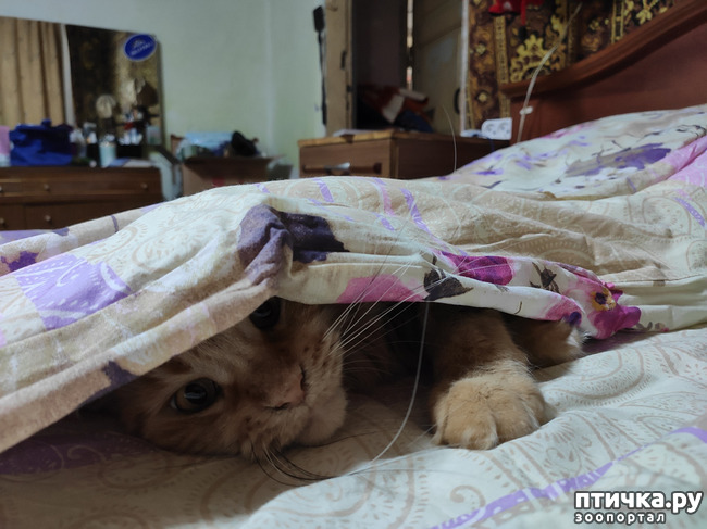 ���� 2: ������� ����)))