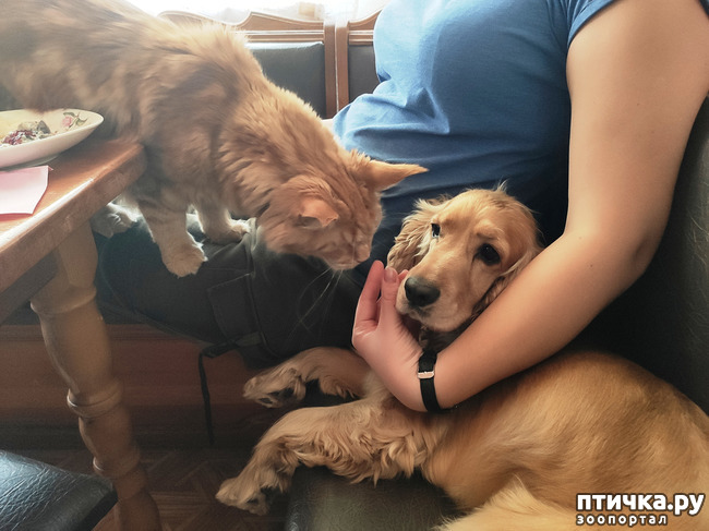 ���� 9: ������� ����)))