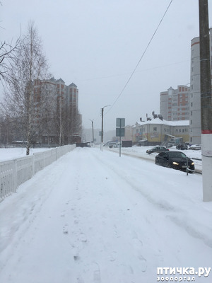 ����: � ������� ��� ������ ������! � ������� ������ ���� ���!