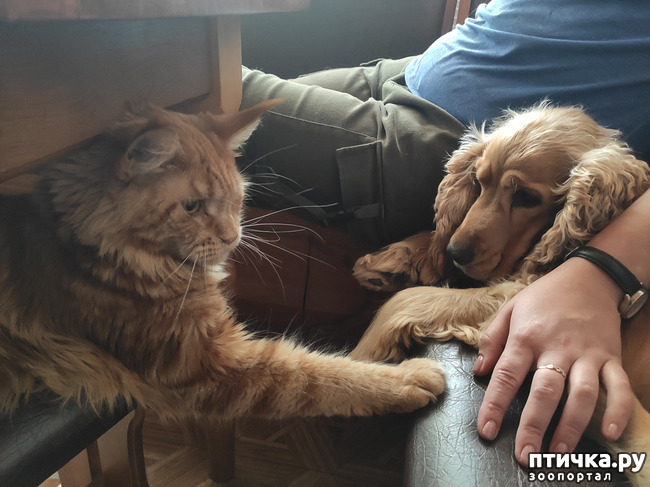 ���� 10: ������� ����)))