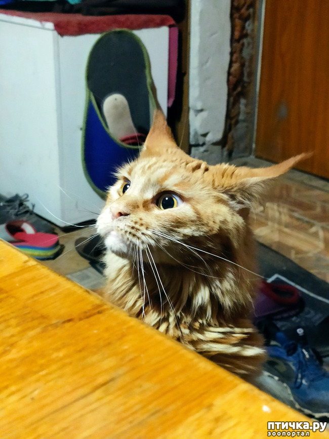 ���� 13: ������� ����)))