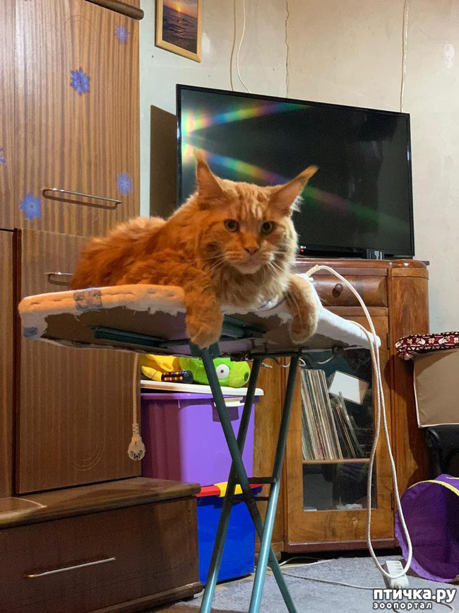 ���� 14: ������� ����)))