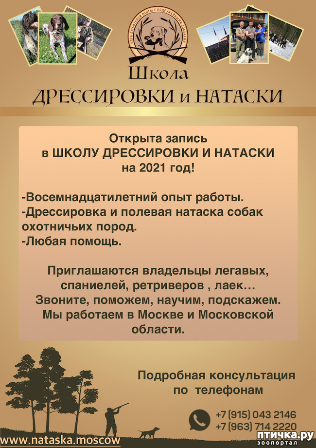 ���� 1: ����������� � �������