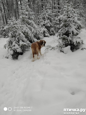 ����: ��� � ������