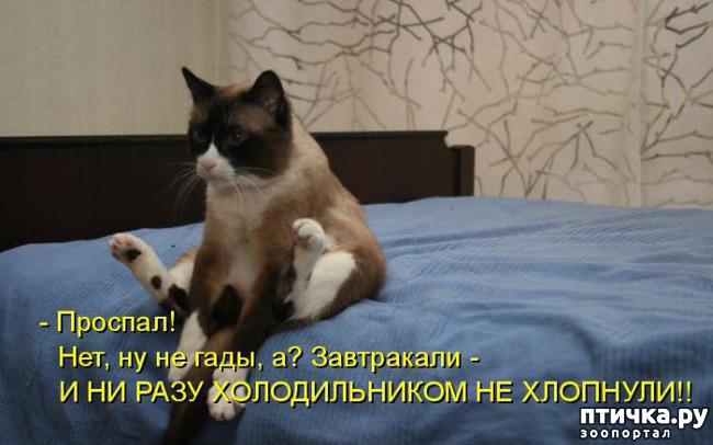 ���� 1: �����������