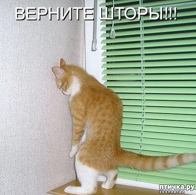 ���� 2: �����������