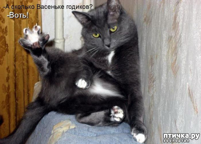 ���� 3: �����������