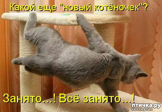 ���� 9: �����������