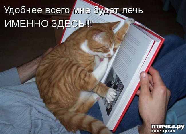 ���� 10: �����������