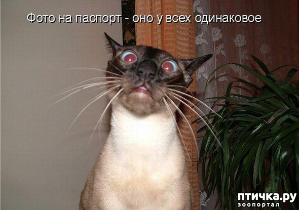 ���� 13: �����������