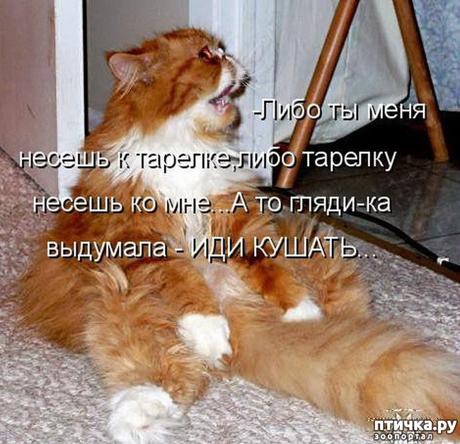 ���� 14: �����������