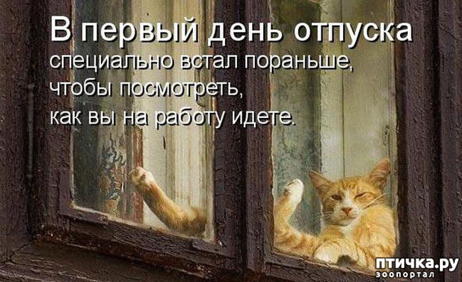 ���� 16: �����������