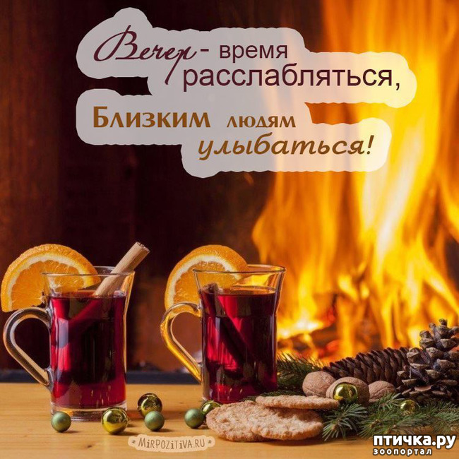 ���� 17: �����������