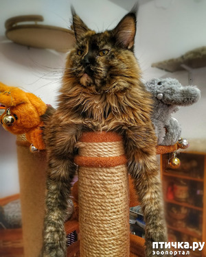 ����: ������� ������ � ��� ���������