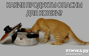 ����: �������� ����������������� ������ [�������������� ��������� �� �������]