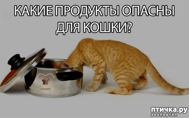 ���� 1: �������� ����������������� ������ [�������������� ��������� �� �������]