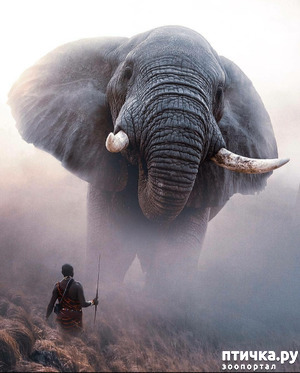 ����: �����