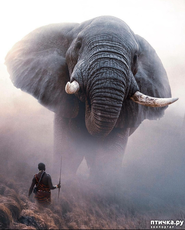 ���� 1: �����