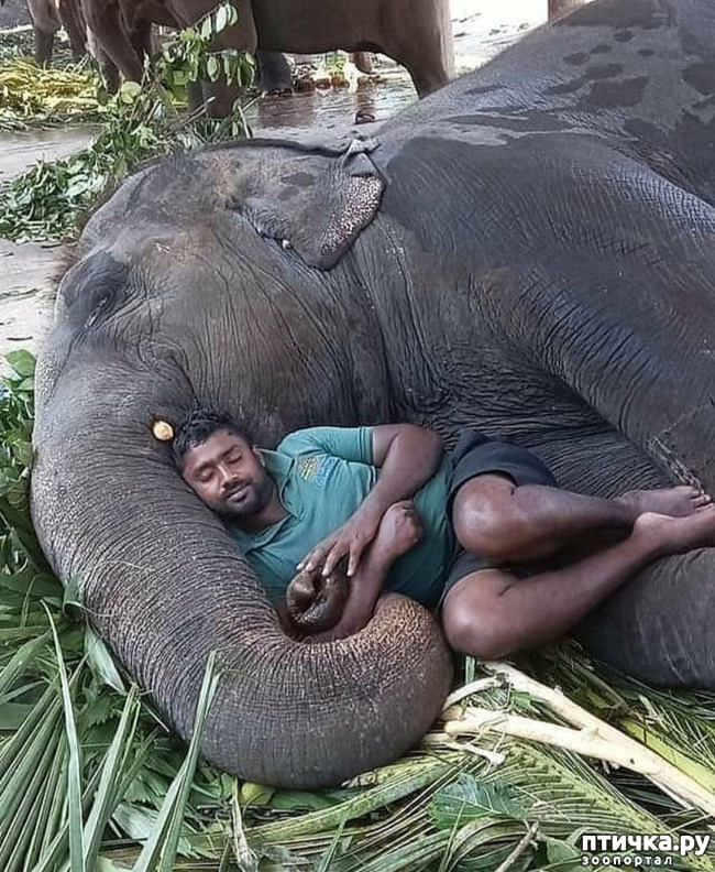 ���� 3: �����