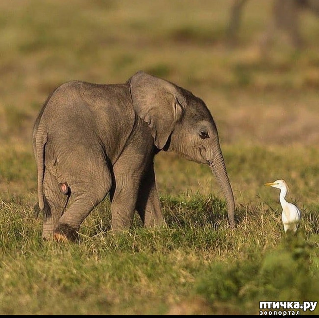 ���� 4: �����