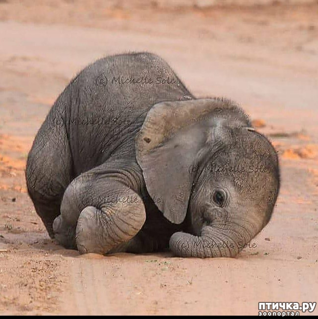 ���� 7: �����