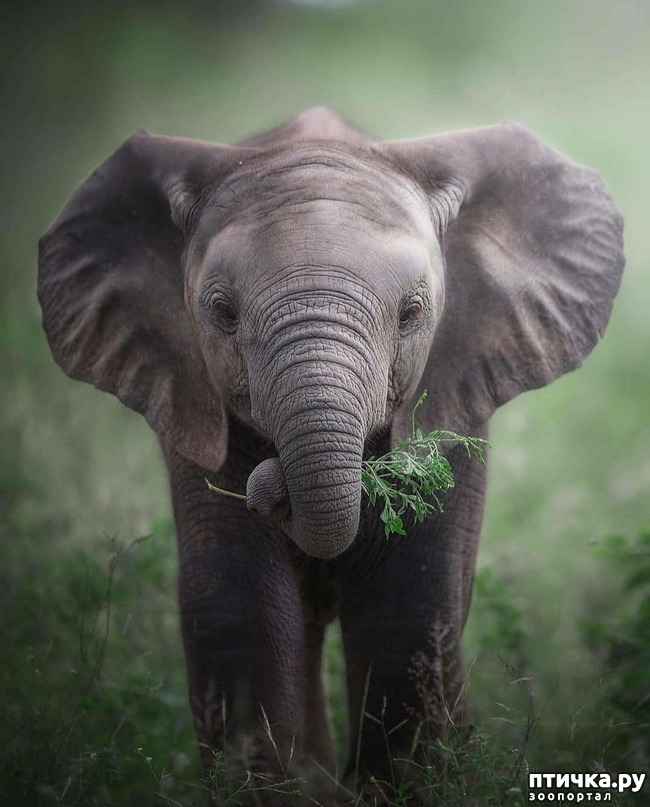 ���� 9: �����