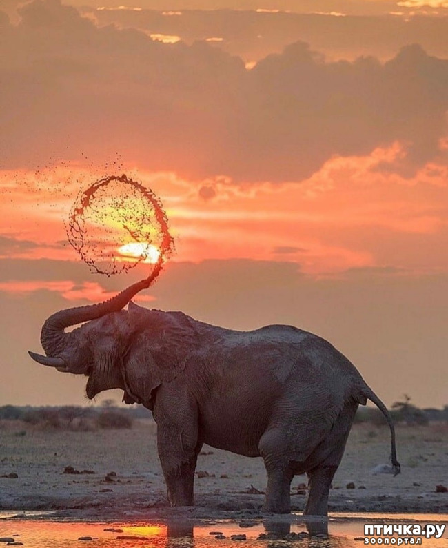 ���� 11: �����