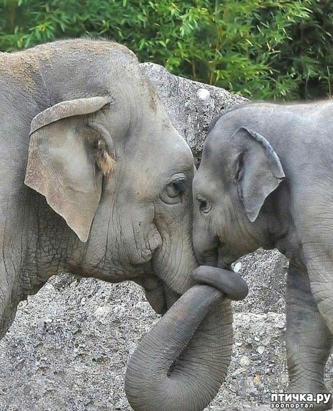 ���� 10: �����