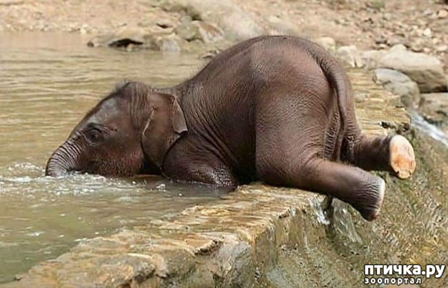 ���� 12: �����