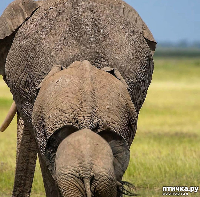 ���� 13: �����