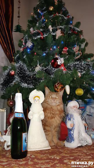 ���� 6: ��� ������� �������