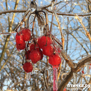 ����: � � ��� ���������� ������!