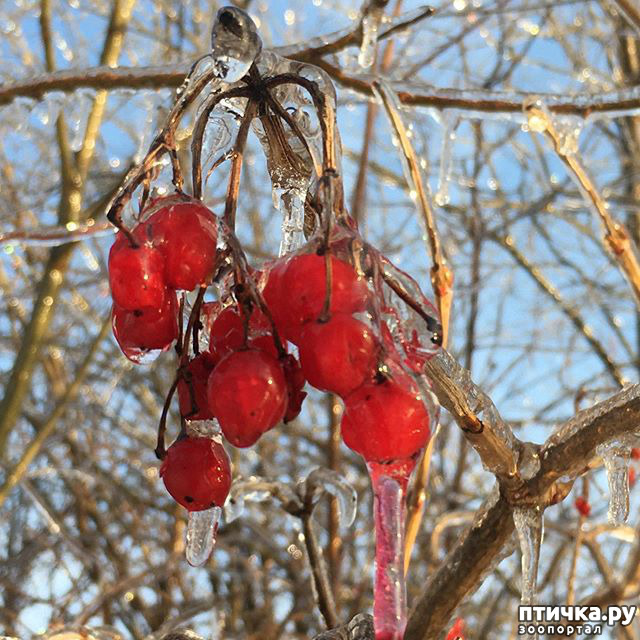 ���� 1: � � ��� ���������� ������!