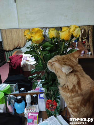 ����: ��� ������� �������