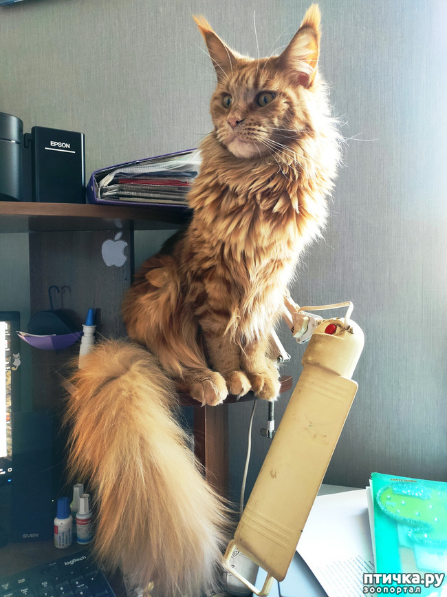 ���� 2: ��� ������� �������