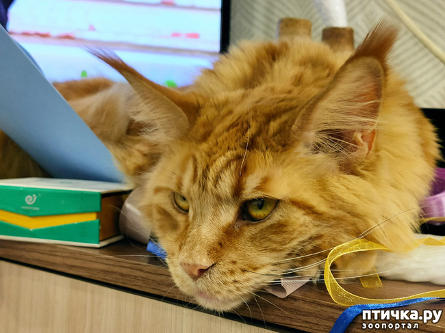 ���� 4: ��� ������� �������