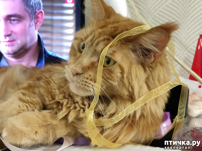 ���� 3: ��� ������� �������