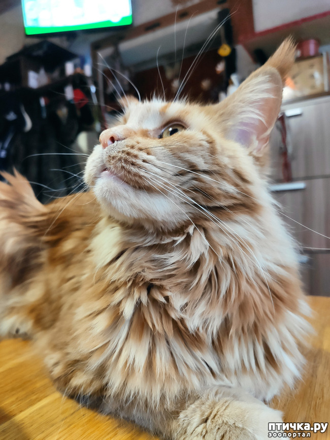 ���� 5: ��� ������� �������