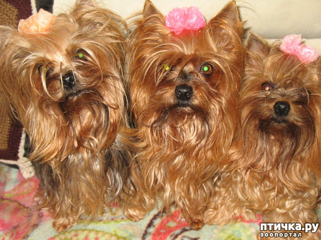 ���� 1: 25 ������ ������� �� �������� ������.