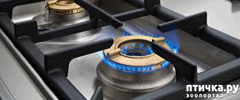 ���� 1: ����� ��� - ����� 