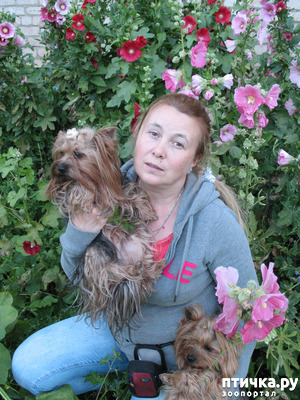 ����: � ����� ��������� "�������"!)))