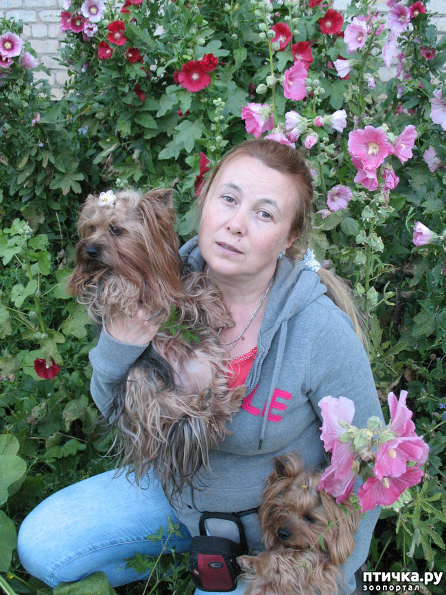 ���� 1: � ����� ��������� 