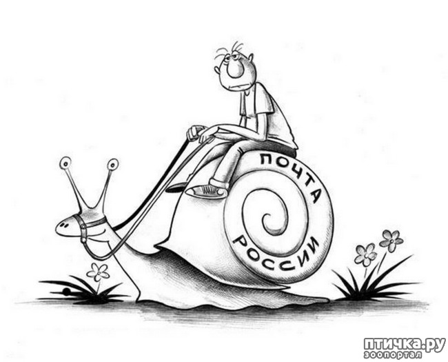 ���� 1: ����� ����� ����� ��� ��������� ������������!