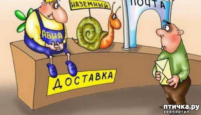 ���� 2: ����� ����� ����� ��� ��������� ������������!