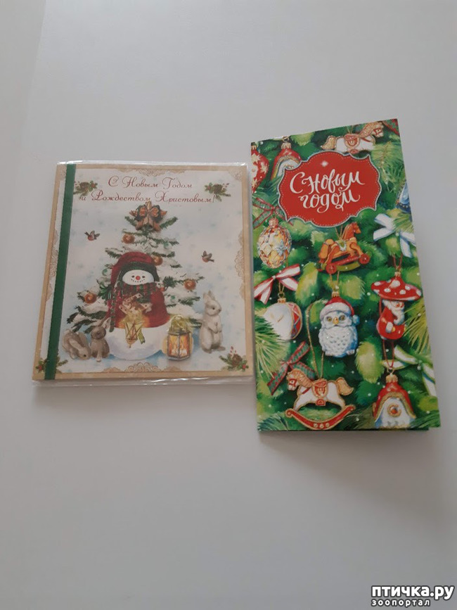 ���� 4: ����� ����� ����� ��� ��������� ������������!