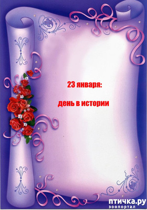 ����: 23 ������: ���� � �������