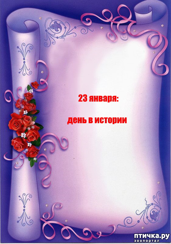 ���� 1: 23 ������: ���� � �������