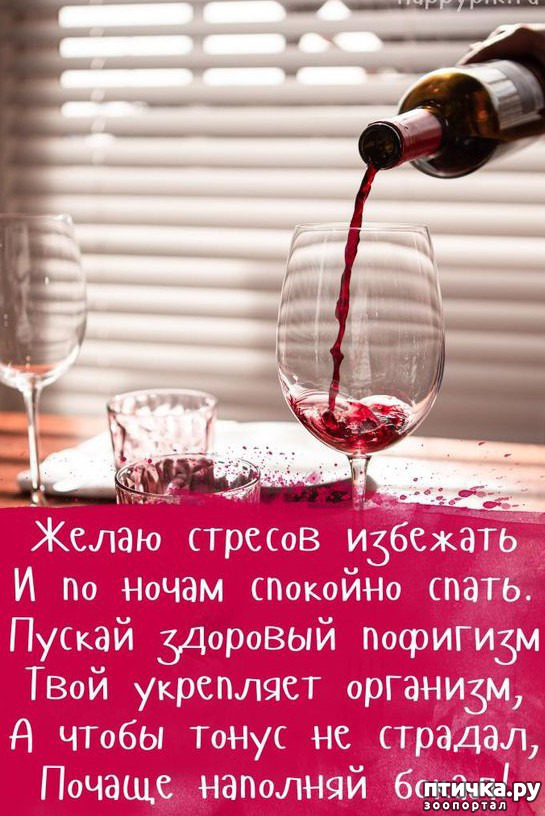 ���� 5: 23 ������: ���� � �������