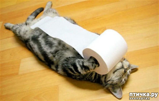 ���� 2: ������ � �����